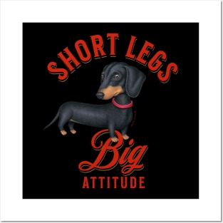 Dachshund-Short Legs, Big attitude Posters and Art